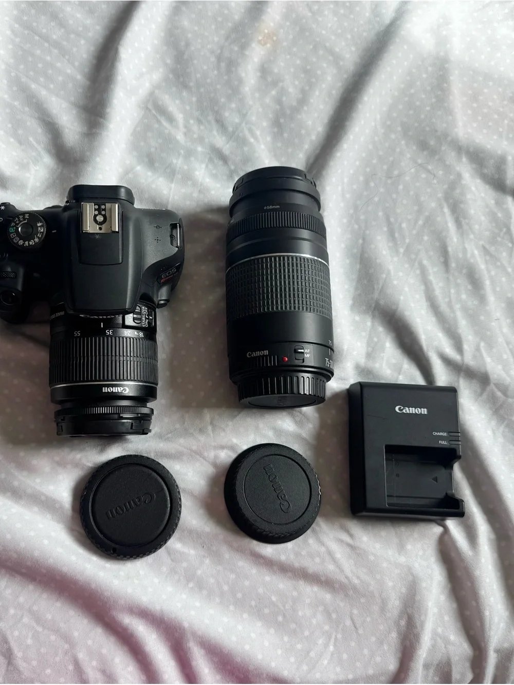 Canon DSLR Camera in Black with Standard Zoom Lens